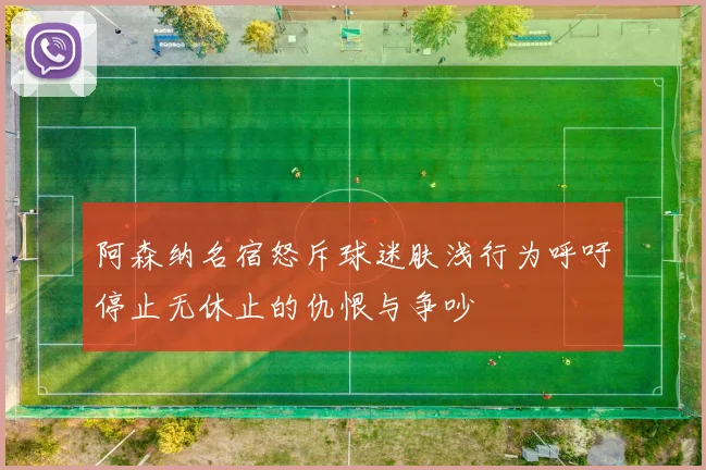 阿森纳名宿怒斥球迷肤浅行为呼吁停止无休止的仇恨与争吵